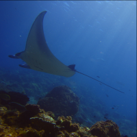 /album/integra-coast/captura-de-pantalla-2015-10-06-a-las-23-16-51-png/